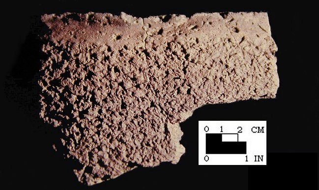 Mockley rim sherd with finger-smoothed line at lip from the Piscataway site 18PR7-SI Cat. #416925-Courtesy of the Smithsonian Institution, Museum of Natural History, Department of Anthropology.